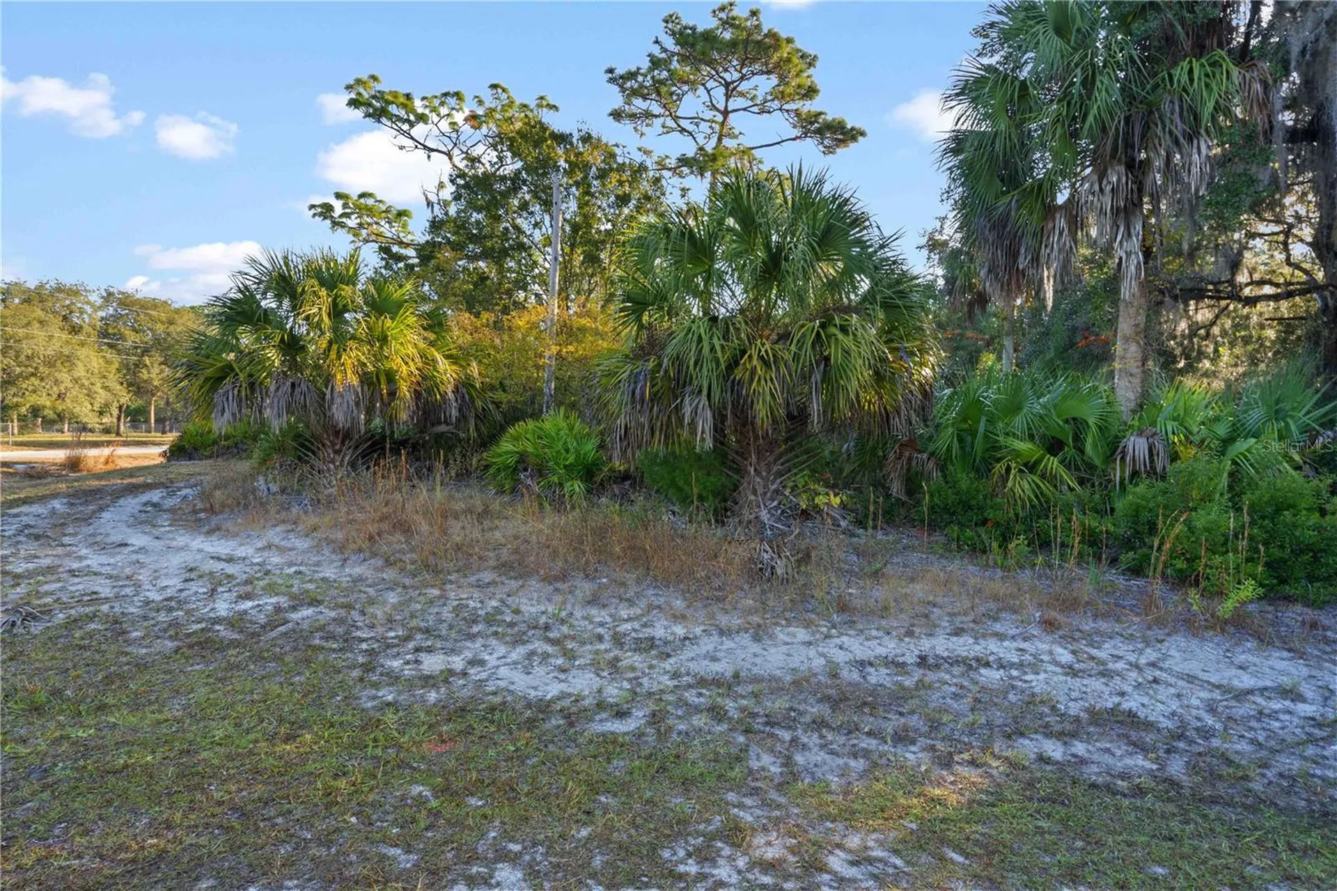 Tbd E Cason Boulevard Inglis FL 34449
