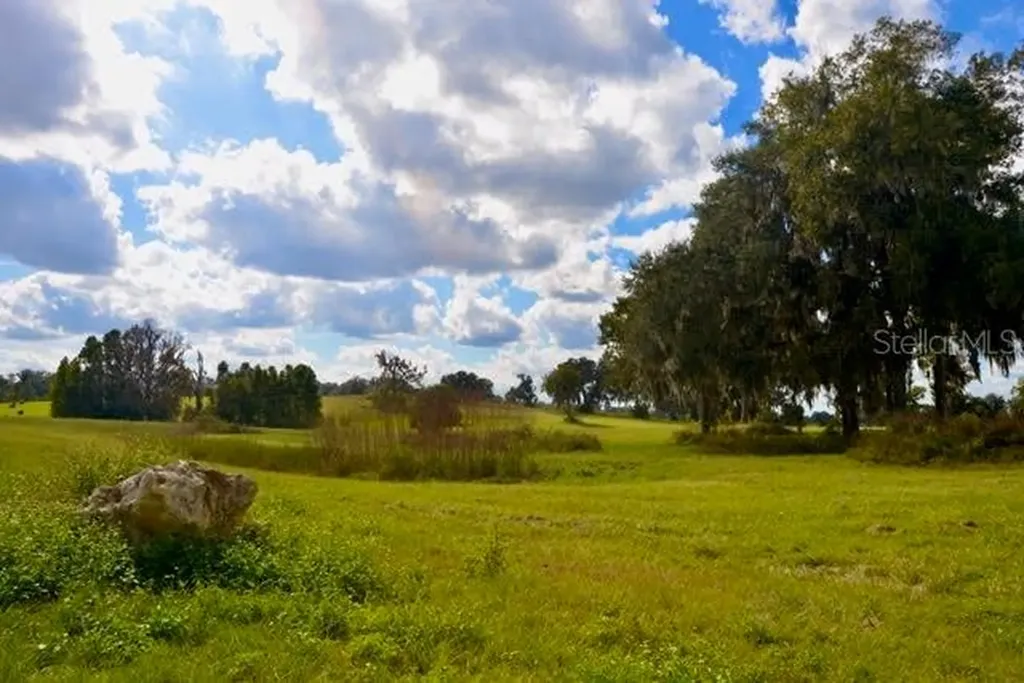 11750 SE 22nd Avenue Road Ocala FL 34473