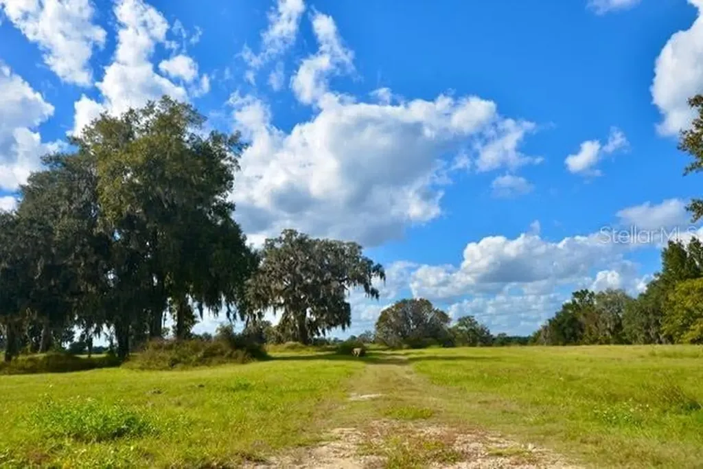 11750 SE 22nd Avenue Road Ocala FL 34473