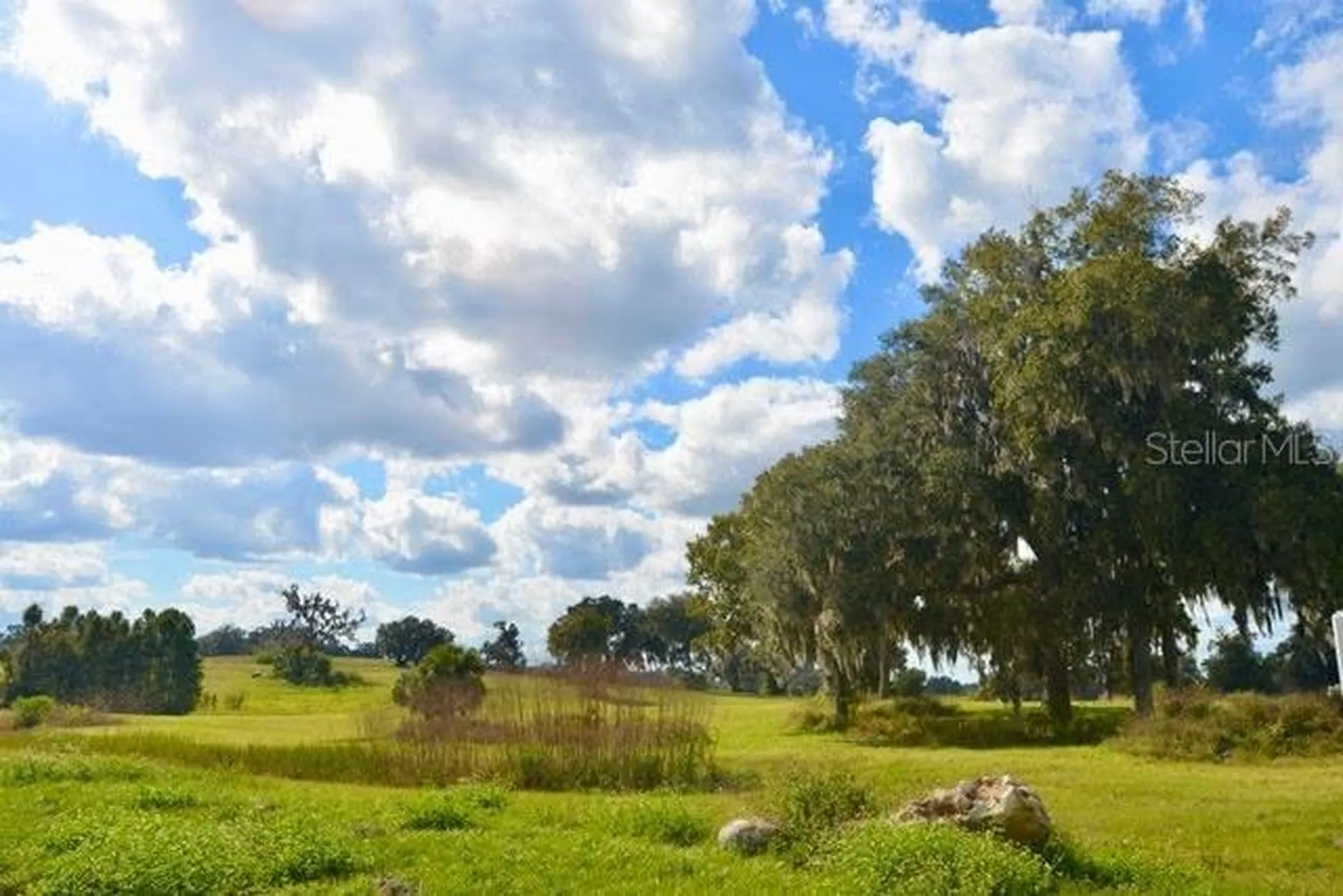 11750 SE 22nd Avenue Road Ocala FL 34473