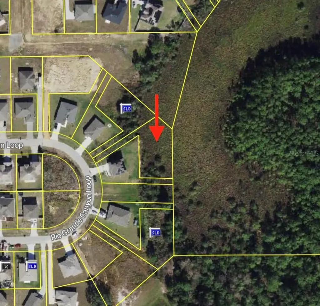 2159 Rio Grande Canyon Loop Poinciana FL 34759