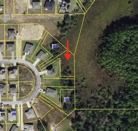 2159 Rio Grande Canyon Loop Poinciana FL 34759