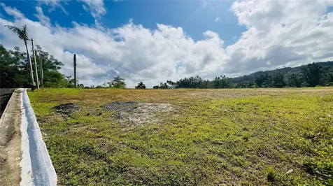 Hacienda Rio Lajas Dorado PR 00646