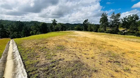 Hacienda Rio Lajas Dorado PR 00646
