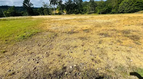 Hacienda Rio Lajas Dorado PR 00646