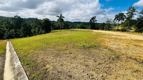 Hacienda Rio Lajas Dorado PR 00646