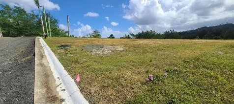 Hacienda Rio Lajas Dorado PR 00646