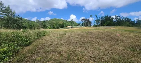 Hacienda Rio Lajas Dorado PR 00646
