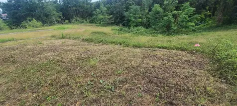 Hacienda Rio Lajas Dorado PR 00646