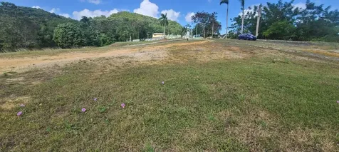 Hacienda Rio Lajas Dorado PR 00646