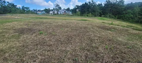 Hacienda Rio Lajas Dorado PR 00646