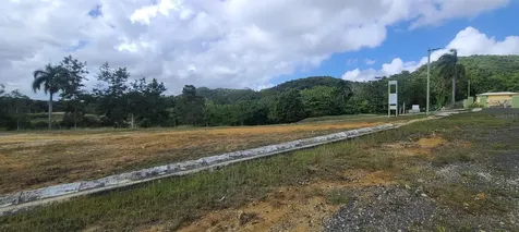 Hacienda Rio Lajas Dorado PR 00646