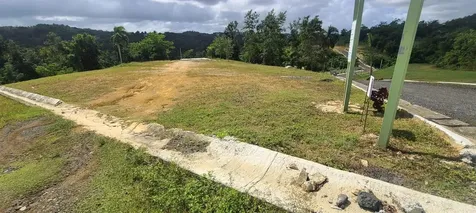 Hacienda Rio Lajas Dorado PR 00646