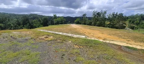 Hacienda Rio Lajas Dorado PR 00646