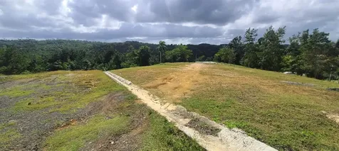 Hacienda Rio Lajas Dorado PR 00646