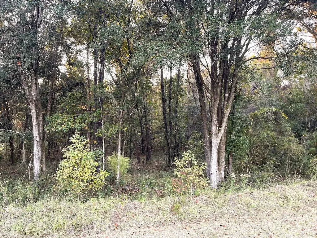 NW 145th Avenue Lot 25 Williston FL 32696