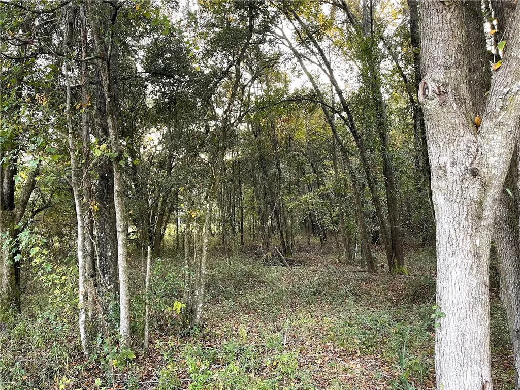 NW 145th Avenue Lot 25 Williston FL 32696