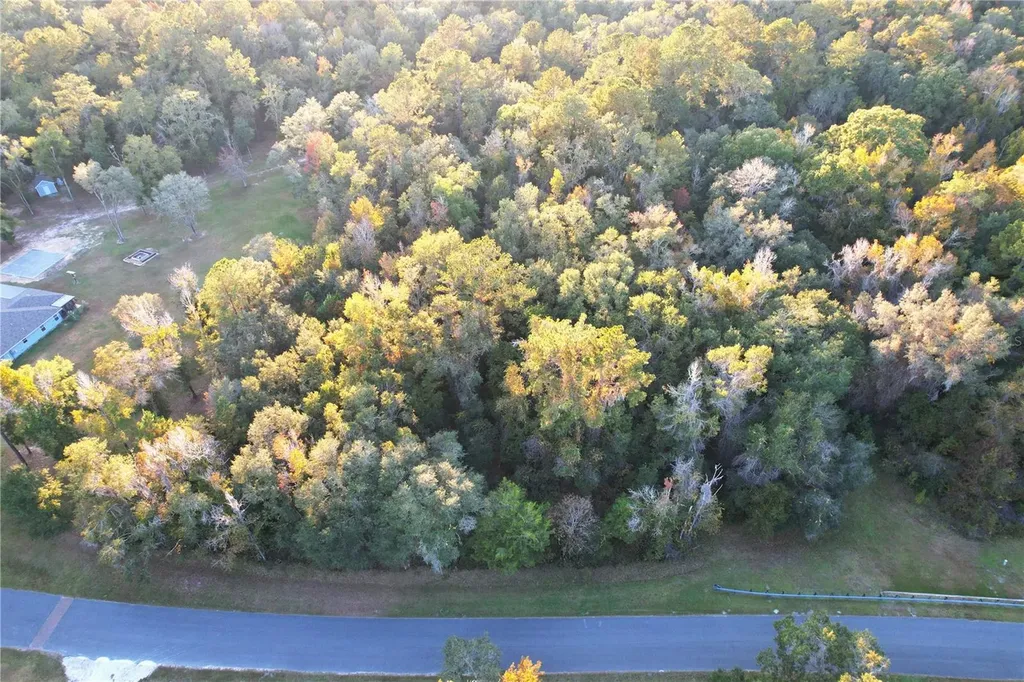 NW 145th Avenue Lot 25 Williston FL 32696