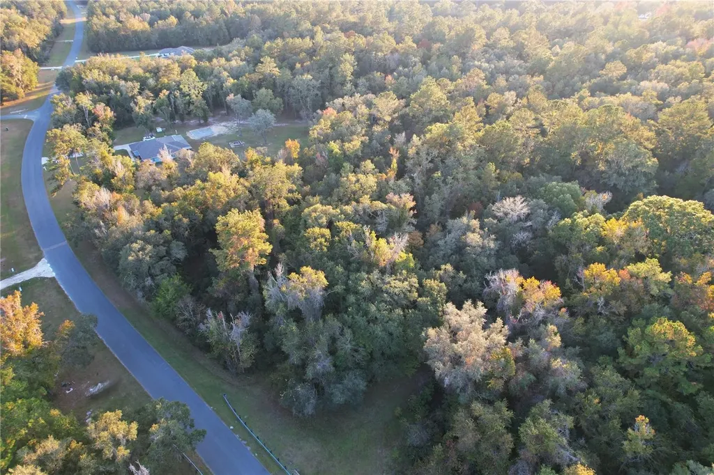 NW 145th Ave Lot 25 Williston FL 32696
