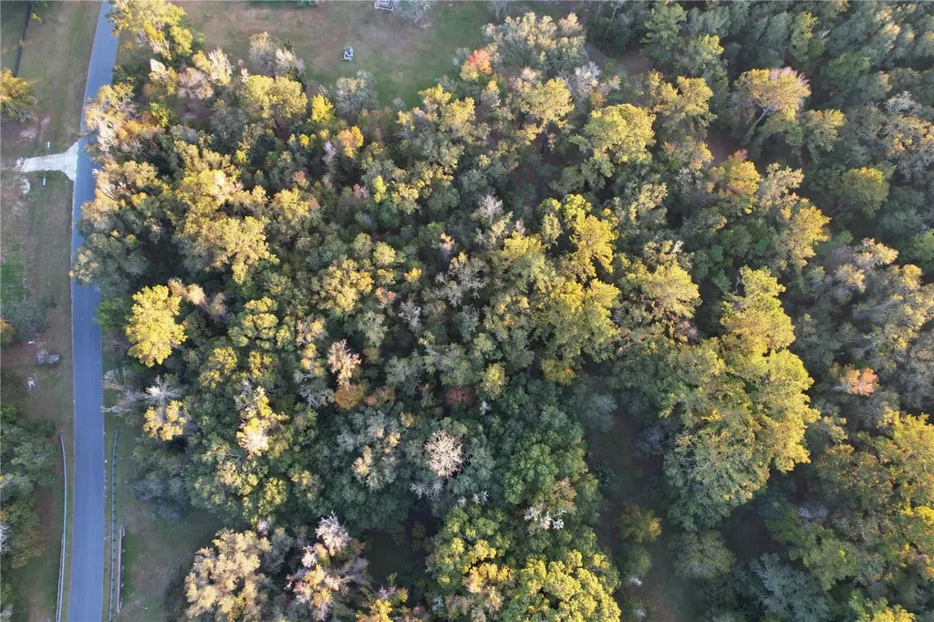 NW 145th Avenue Lot 25 Williston FL 32696