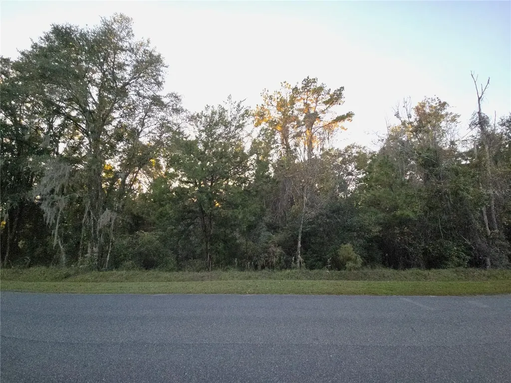 NW 145th Avenue Lot 25 Williston FL 32696