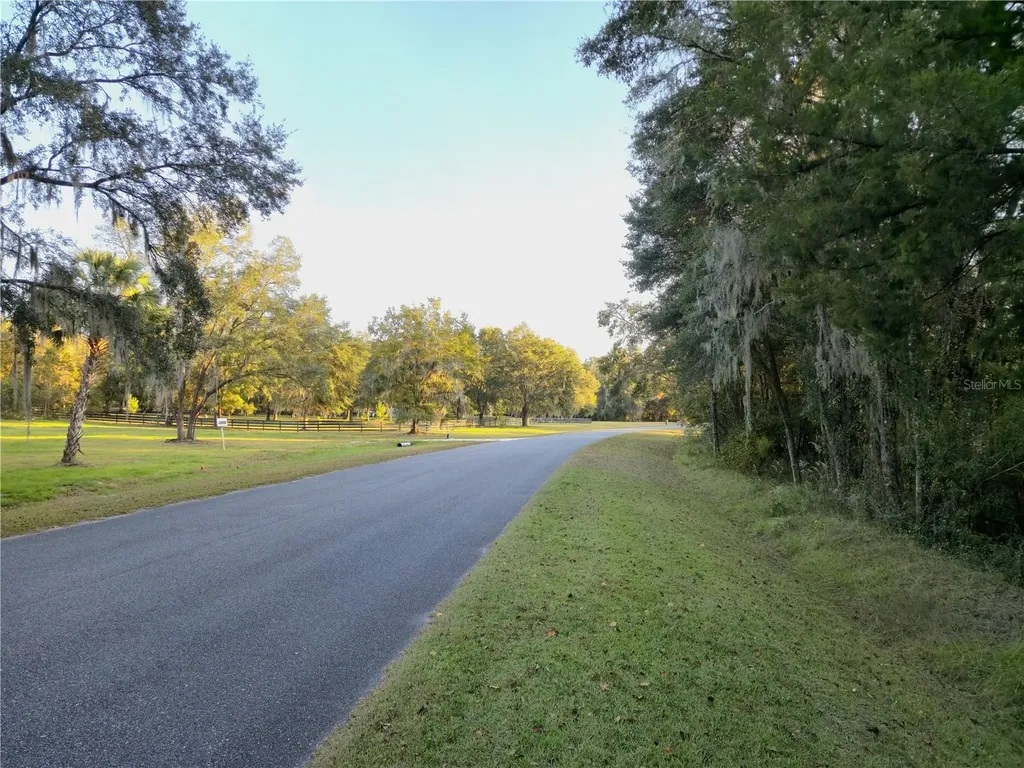 NW 145th Avenue Lot 25 Williston FL 32696