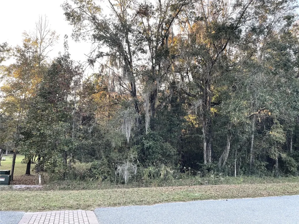 NW 145th Avenue Lot 25 Williston FL 32696