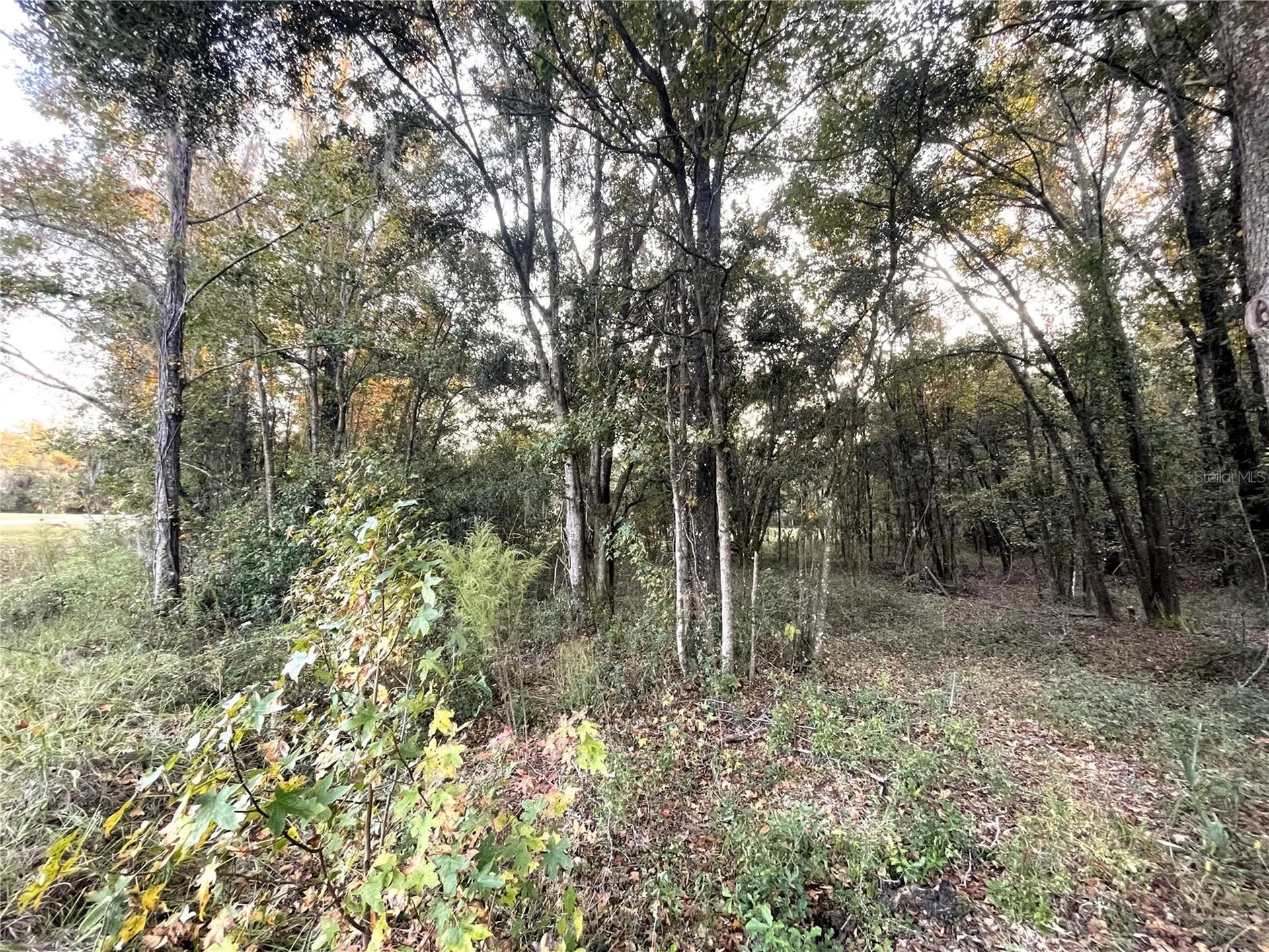 NW 145th Avenue Lot 25 Williston FL 32696