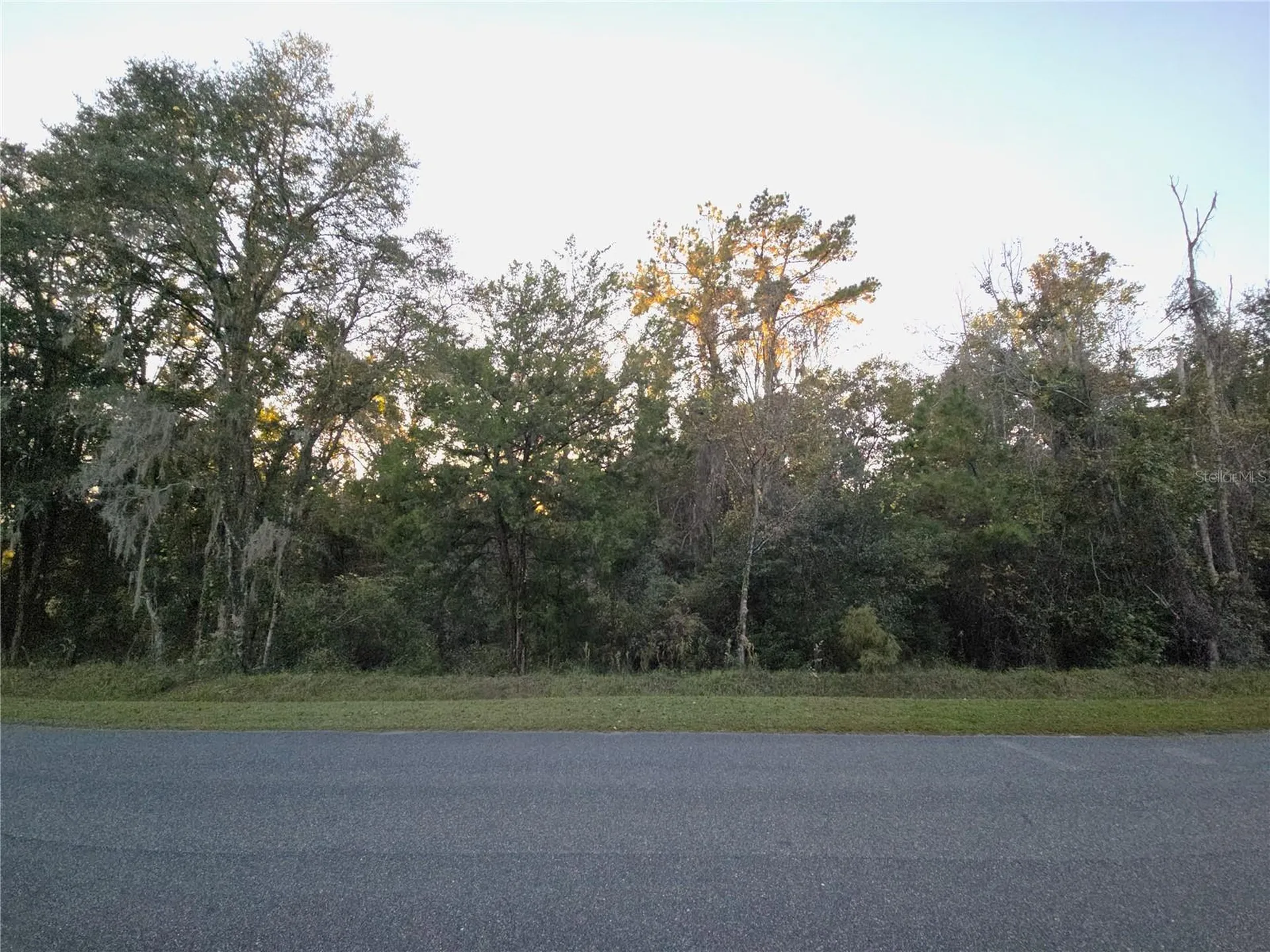 NW 145th Avenue Lot 25 Williston FL 32696