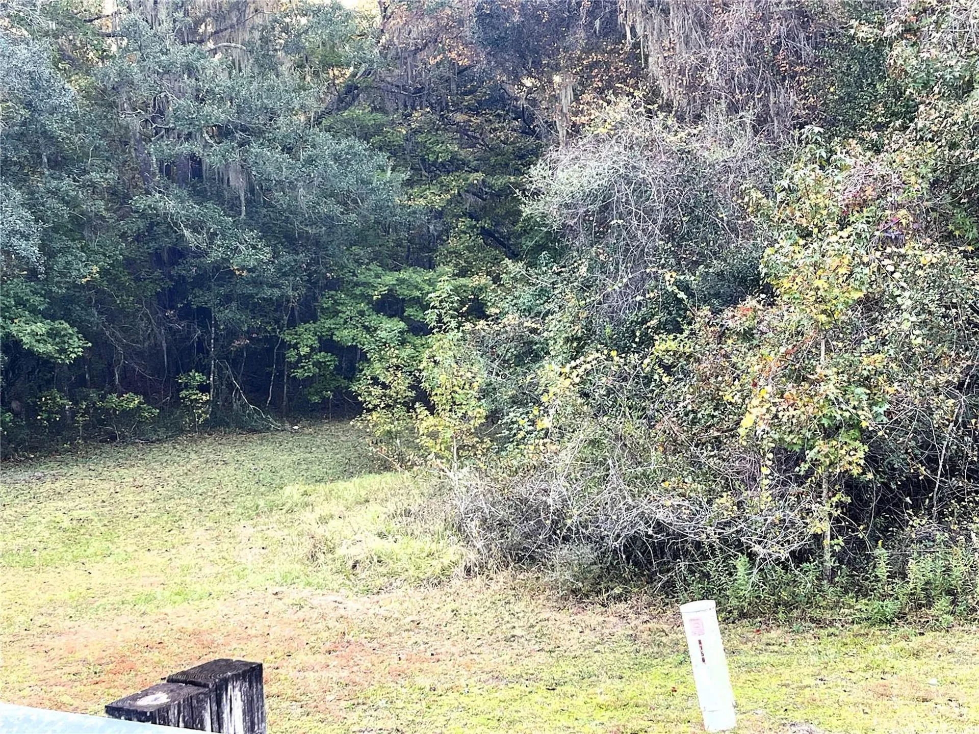 NW 145th Avenue Lot 25 Williston FL 32696