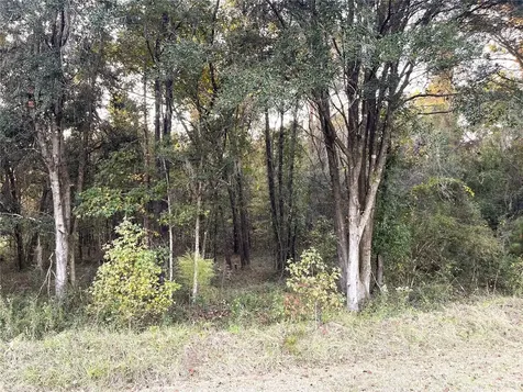 NW 145th Ave Lot 25 Williston FL 32696
