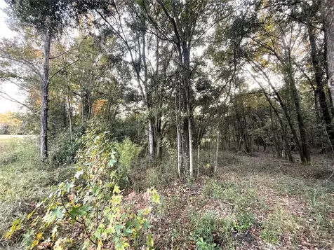 NW 145th Ave Lot 25 Williston FL 32696
