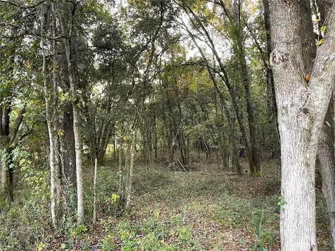 NW 145th Ave Lot 25 Williston FL 32696
