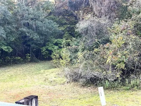 NW 145th Ave Lot 25 Williston FL 32696