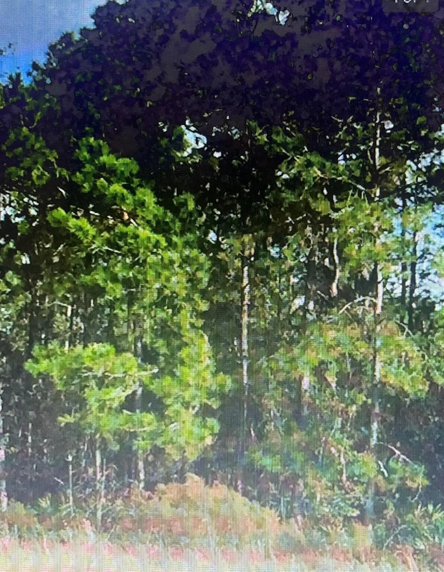 SW 194 St, Archer, Fl 32618 - O4462-011-000 Archer FL 32618