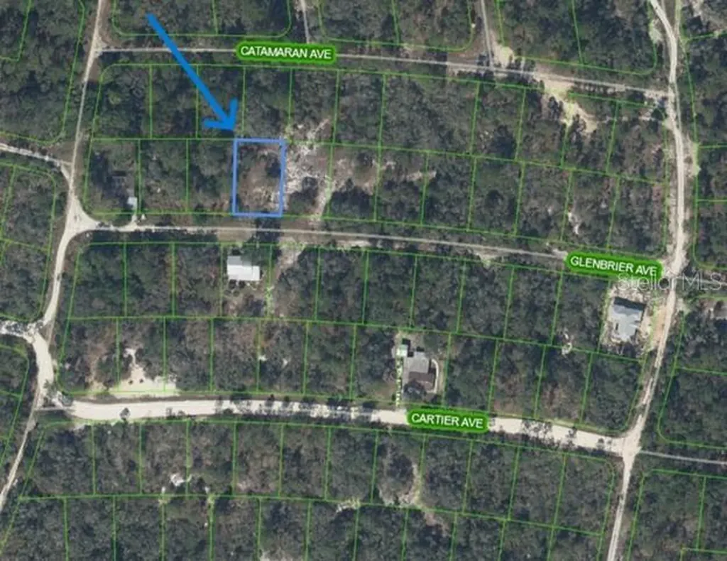 314 Glenbrier Avenue Lake Placid FL 33852