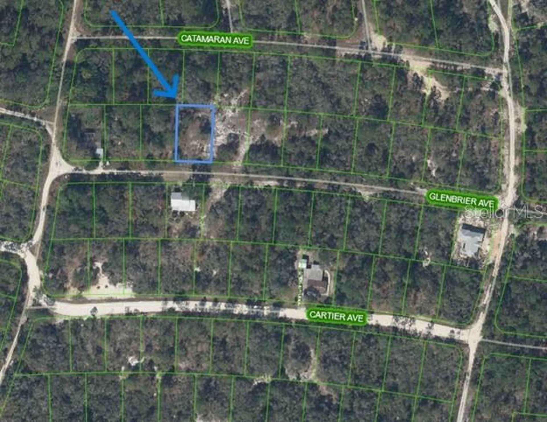 314 Glenbrier Avenue Lake Placid FL 33852
