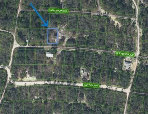 314 Glenbrier Avenue Lake Placid FL 33852