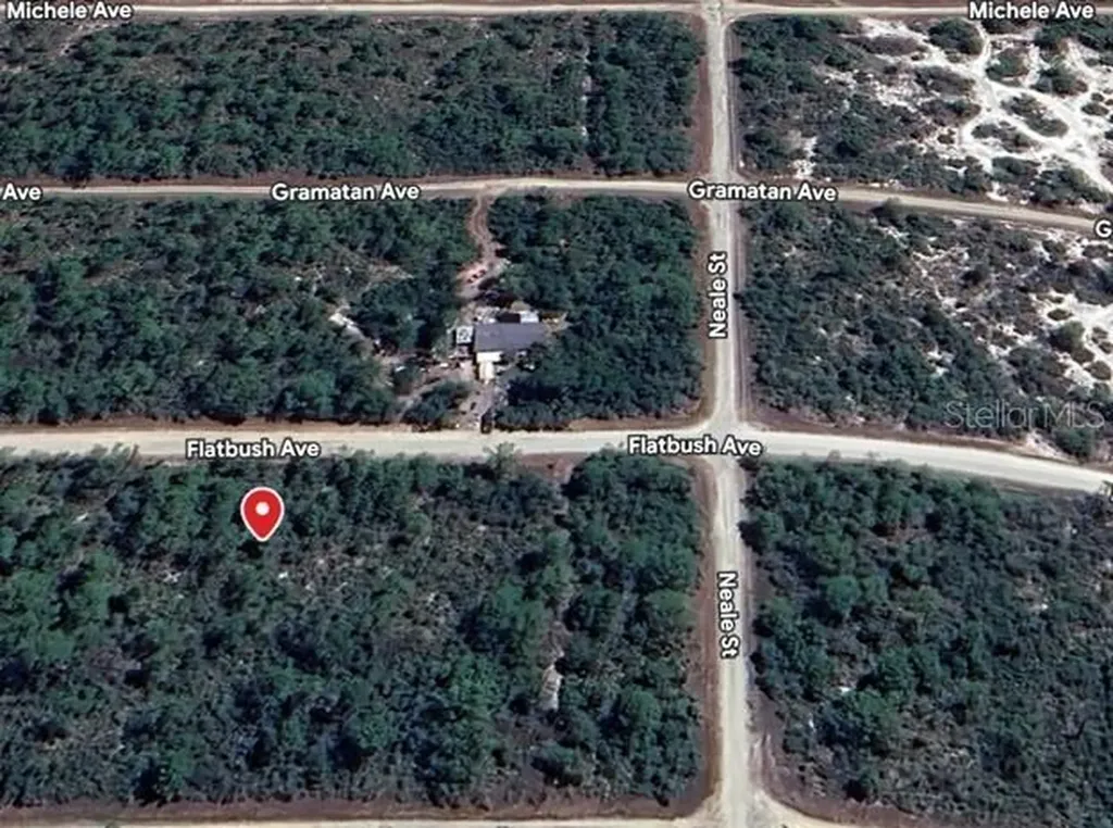 3234 Flatbush Avenue Lake Placid FL 33852