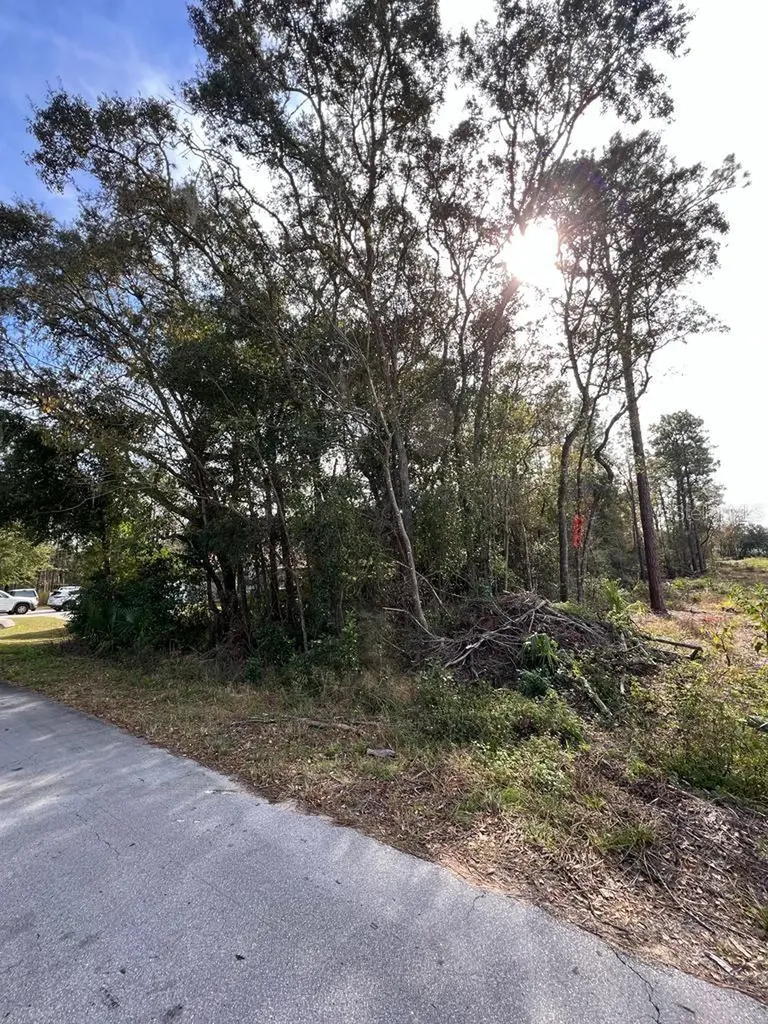 Bahia Terrace Ocala FL 34472