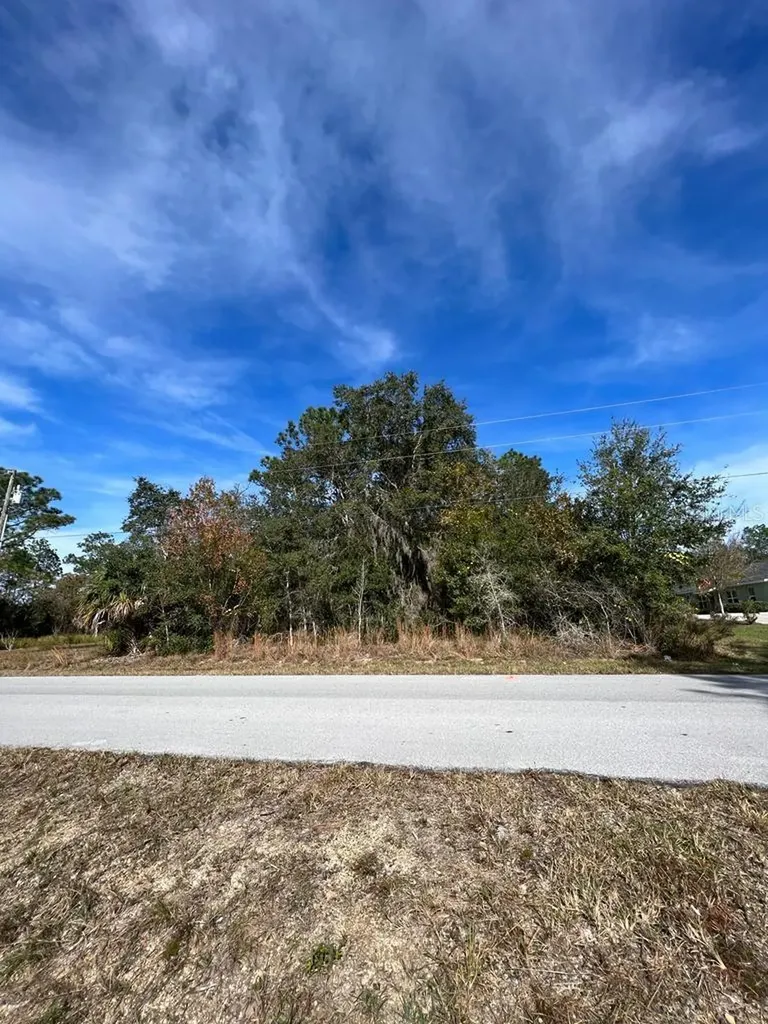 Bahia Terrace Ocala FL 34472