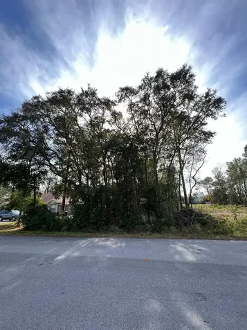 Bahia Terrace Ocala FL 34472