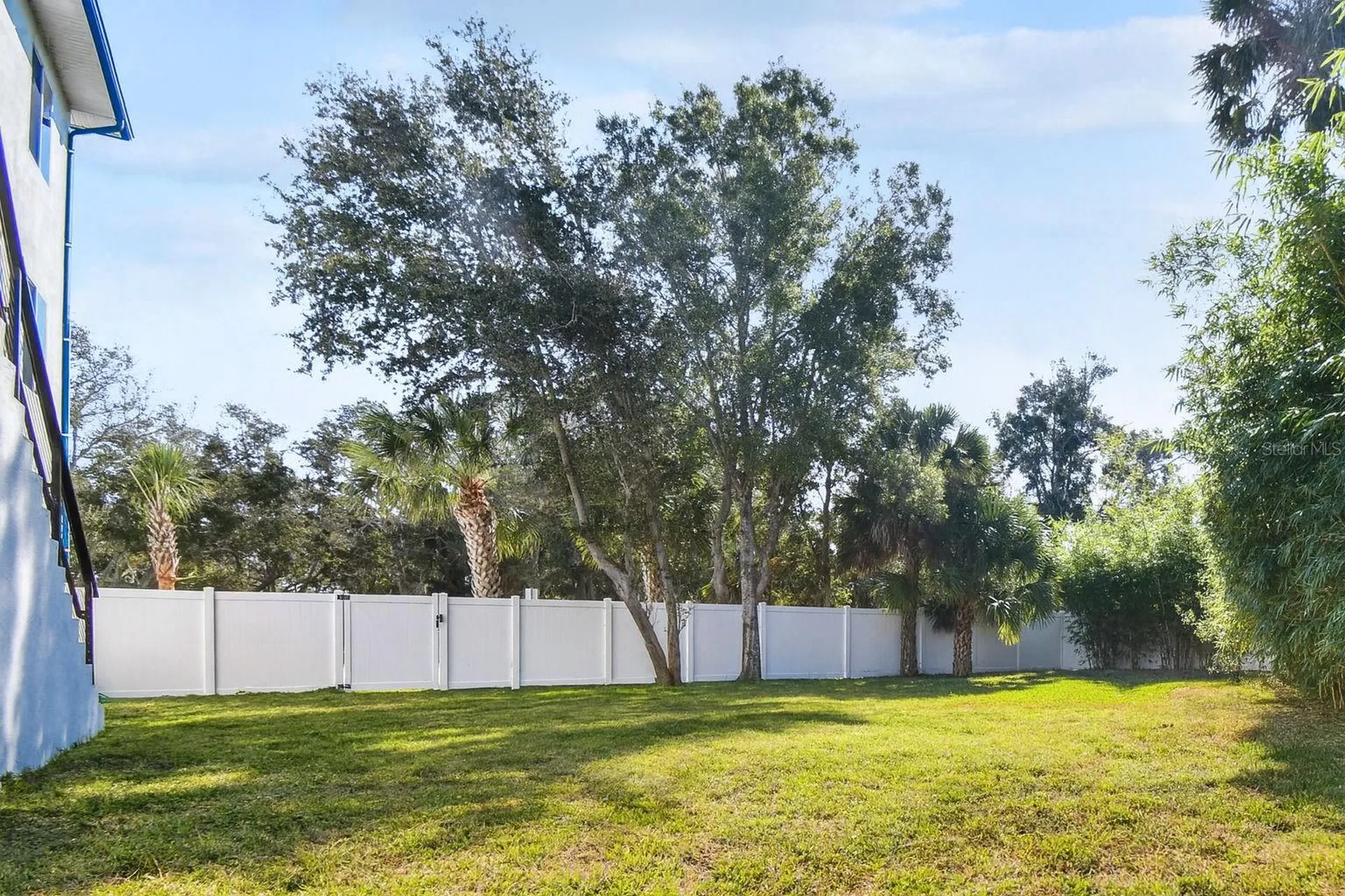 1956 Cedar Drive Dunedin FL 34698