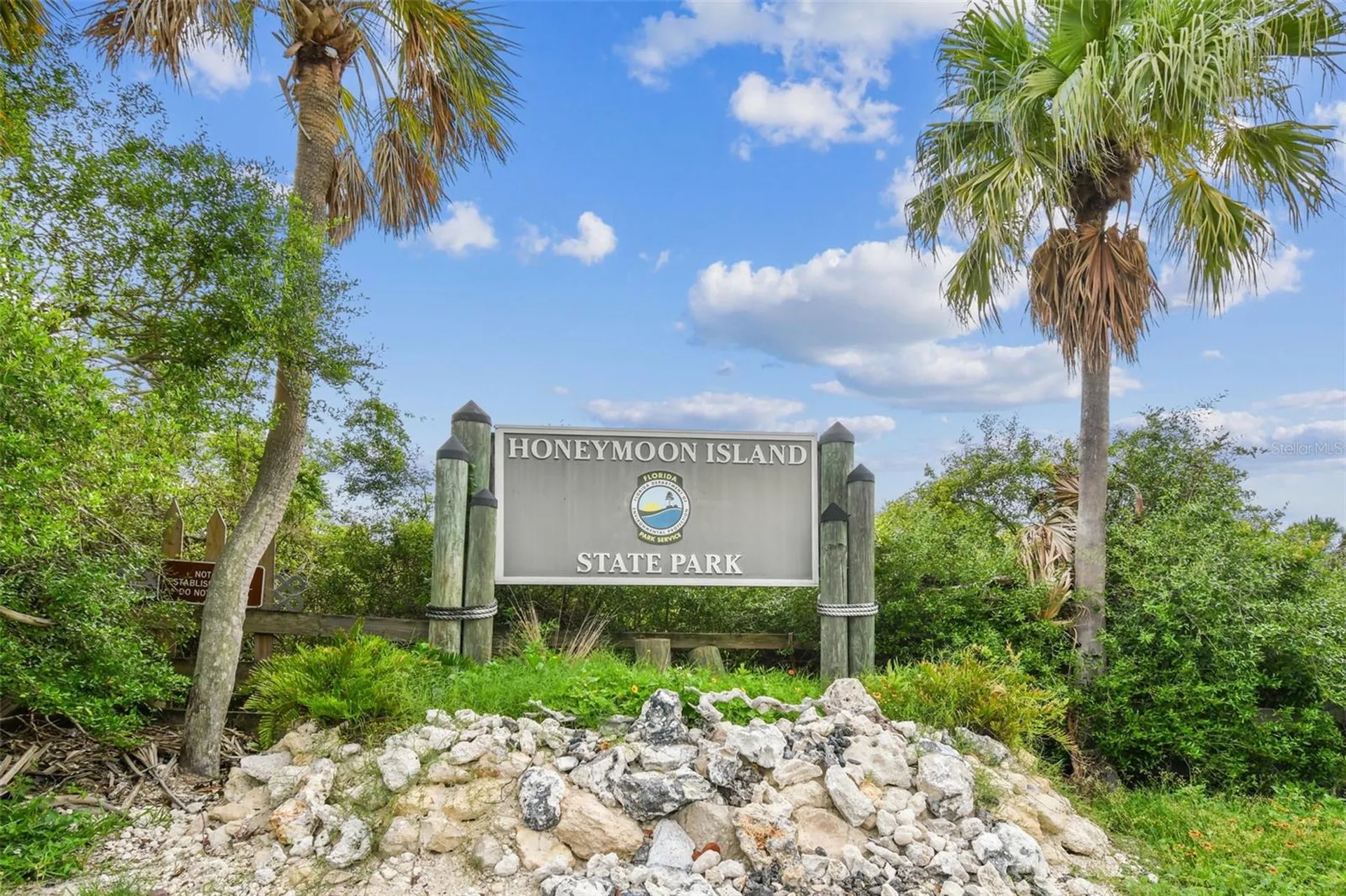 1956 Cedar Drive Dunedin FL 34698