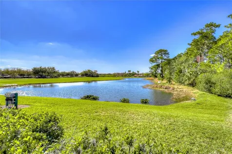 10245 Buncombe Way San Antonio FL 33576