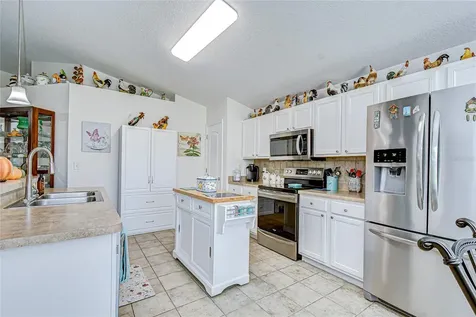 10245 Buncombe Way San Antonio FL 33576