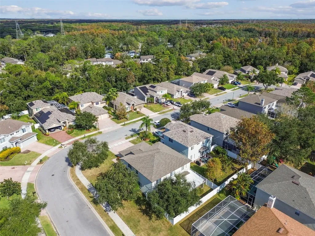 395 Wingate Circle Oldsmar FL 34677