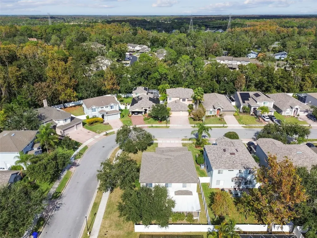395 Wingate Circle Oldsmar FL 34677