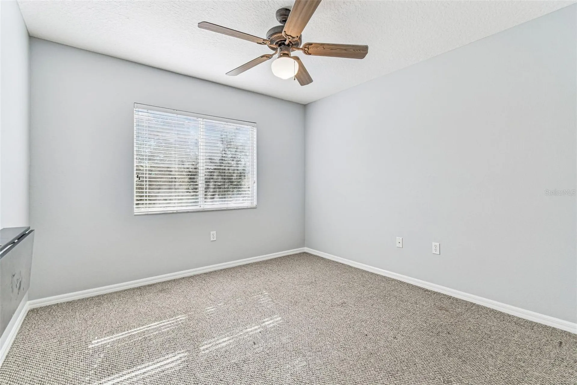 395 Wingate Circle Oldsmar FL 34677