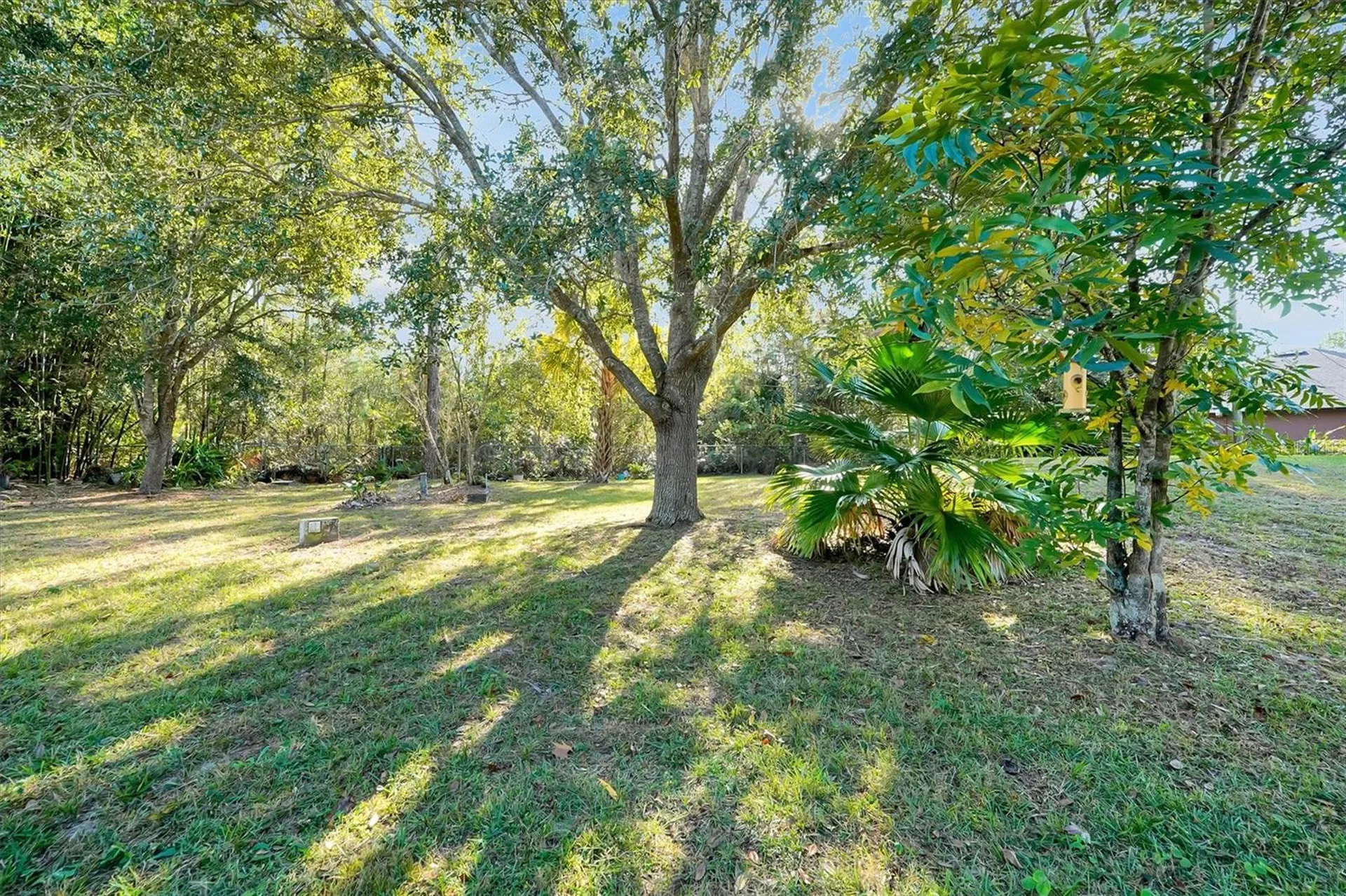 19814 Moorgate Street Orlando FL 32833